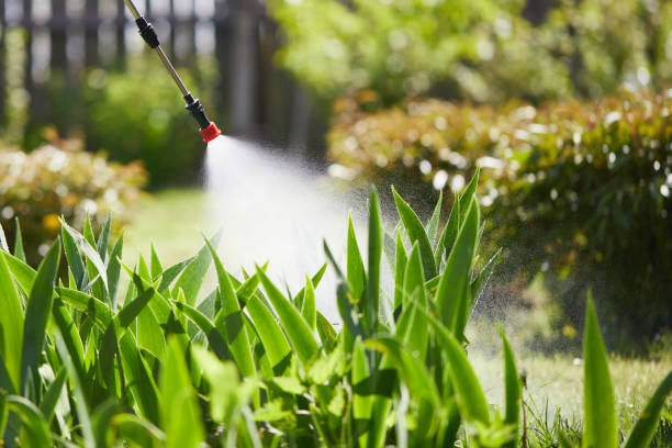 24/7 Emergency Cockroach Control experts in Jackson, WY