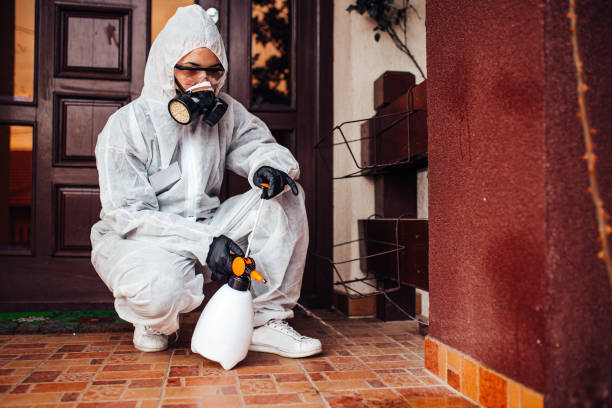 Reliable Cockroach Control contractor in Jackson, WY by Nex Pest Control